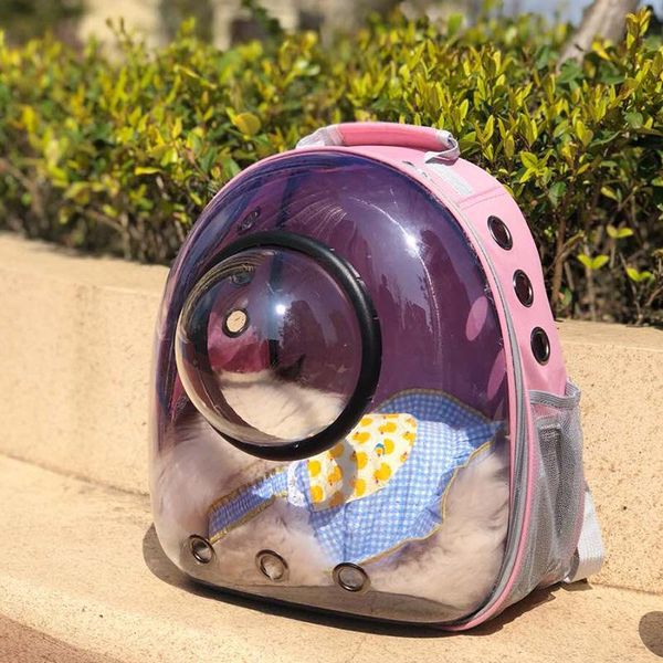 cat carriers,crates & houses transparent handbag carrier bag transport chat portable backpack space mascotas pet products di50m
cat carriers,crates & houses transparent handbag carrier bag transport chat portable backpack space mascotas pet products di50m