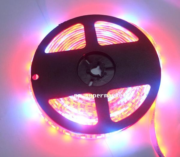 strips plant grow lights 5m waterproof full spectrum led strip flower phyto lamp red blue 5:1 for greenhouse hydroponic+power adapter
strips plant grow lights 5m waterproof full spectrum led strip flower phyto lamp red blue 5:1 for greenhouse hydroponic+power adapter
