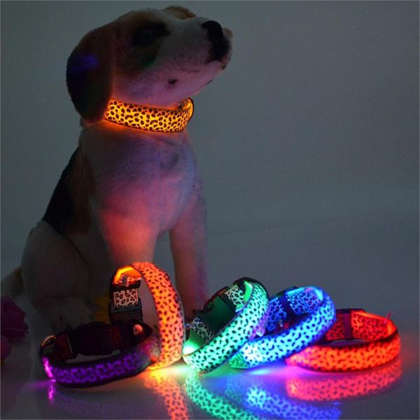 leopard led dog collar luminous adjustable glowing collars for dogs pet night safety nylon bright & leashes
leopard led dog collar luminous adjustable glowing collars for dogs pet night safety nylon bright & leashes