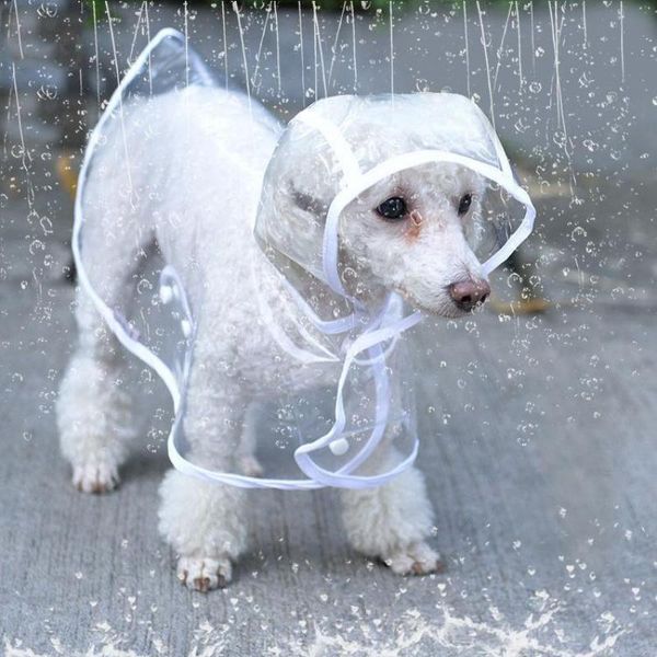 dog apparel pet supplies raincoat with transparent cover puppy cape clothing clothes
dog apparel pet supplies raincoat with transparent cover puppy cape clothing clothes