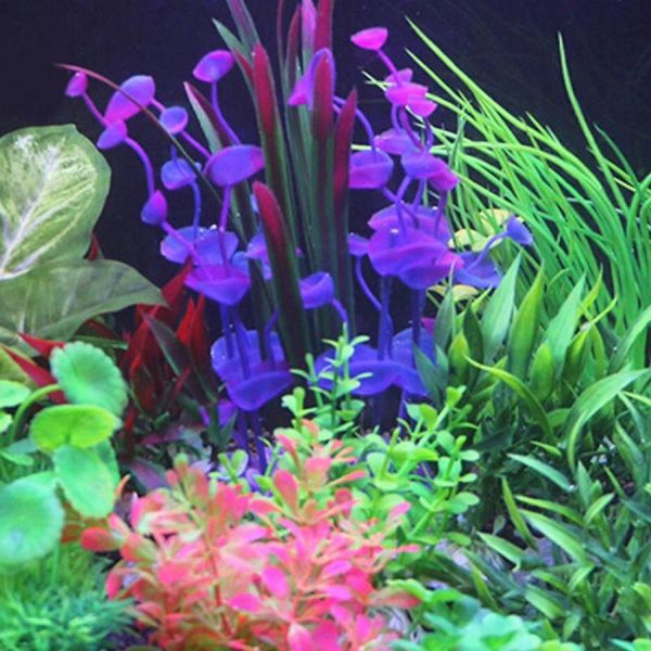 fish tank aquarium decor green artificial plastic underwater grass plant accessories landscaping for decorations
fish tank aquarium decor green artificial plastic underwater grass plant accessories landscaping for decorations