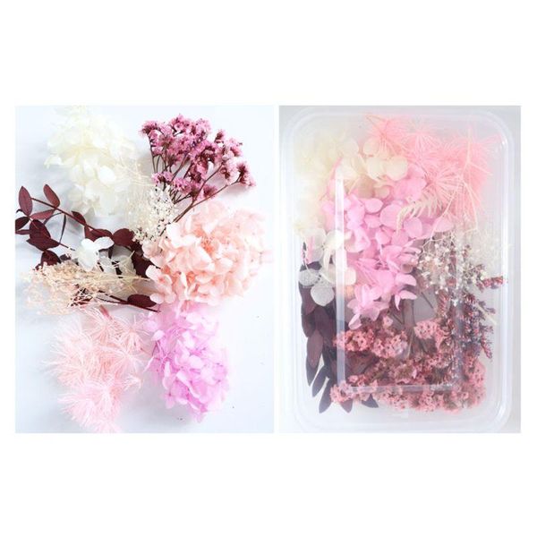 pool & accessories 1 box real mix dried flowers for candle resin jewellery dry plants pressed flower making craft diy accessor
pool & accessories 1 box real mix dried flowers for candle resin jewellery dry plants pressed flower making craft diy accessor