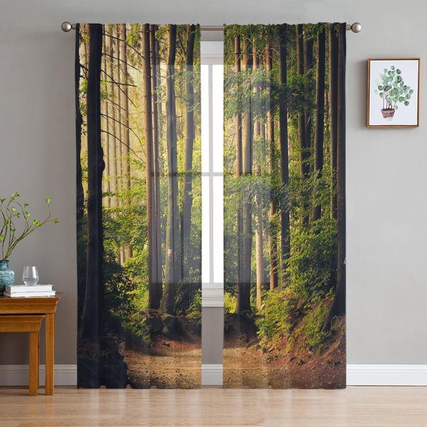 curtain & drapes youth bedroom sheer curtains forest path nature kitchen study living room holiday decor tulle
curtain & drapes youth bedroom sheer curtains forest path nature kitchen study living room holiday decor tulle