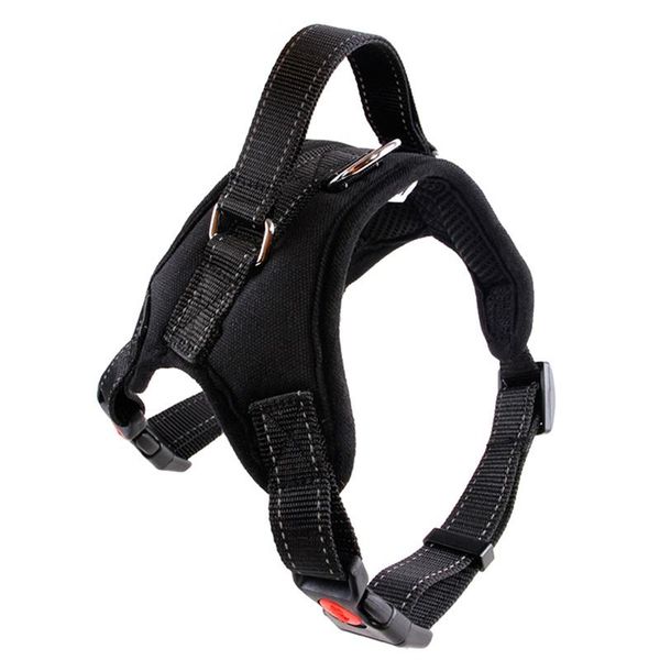dog collars & leashes s-xl adjustable pet puppy large harness for small medium dogs animals walking hand strap supplies
dog collars & leashes s-xl adjustable pet puppy large harness for small medium dogs animals walking hand strap supplies