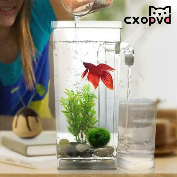 aquariums mini deskaquarium without changing water lazy with led and self-cleaning filter
aquariums mini deskaquarium without changing water lazy with led and self-cleaning filter