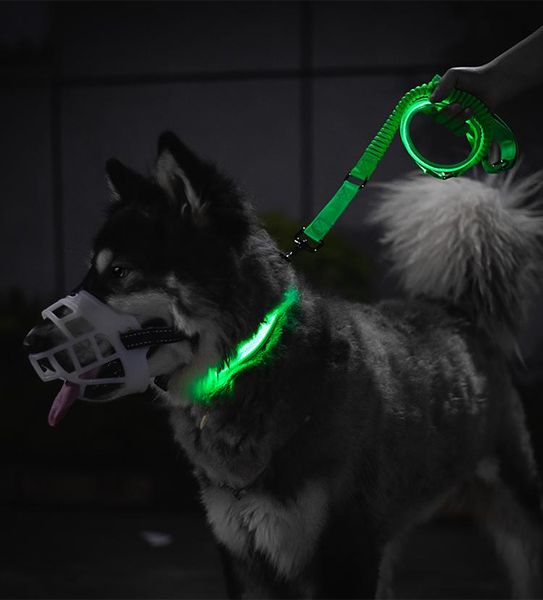 charging led dog collar anti-lost/avoid car accident for pet collars & leashes
charging led dog collar anti-lost/avoid car accident for pet collars & leashes