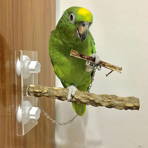 other bird supplies parrot wooden standing stick rack suction cup shower perch bar rod bathing toy cage
other bird supplies parrot wooden standing stick rack suction cup shower perch bar rod bathing toy cage