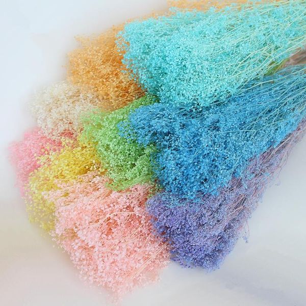 decorative flowers & wreaths 80g/lot,natural dried flower bouquet,immortal dreamy babysbreath for wedding party home easter decoration,flowe
decorative flowers & wreaths 80g/lot,natural dried flower bouquet,immortal dreamy babysbreath for wedding party home easter decoration,flowe