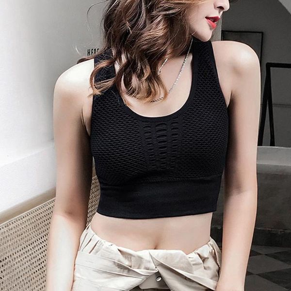 yoga outfit women's mesh sports bra rimless vest style running fitness bras gym bralette crop active activo sujetador#40
yoga outfit women's mesh sports bra rimless vest style running fitness bras gym bralette crop active activo sujetador#40