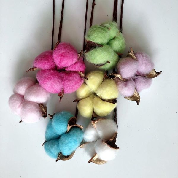 pcs solid natural dried cotton flowers wedding decoration diy flower bouquet home garden arrangement supplies decorative & wreaths
pcs solid natural dried cotton flowers wedding decoration diy flower bouquet home garden arrangement supplies decorative & wreaths
