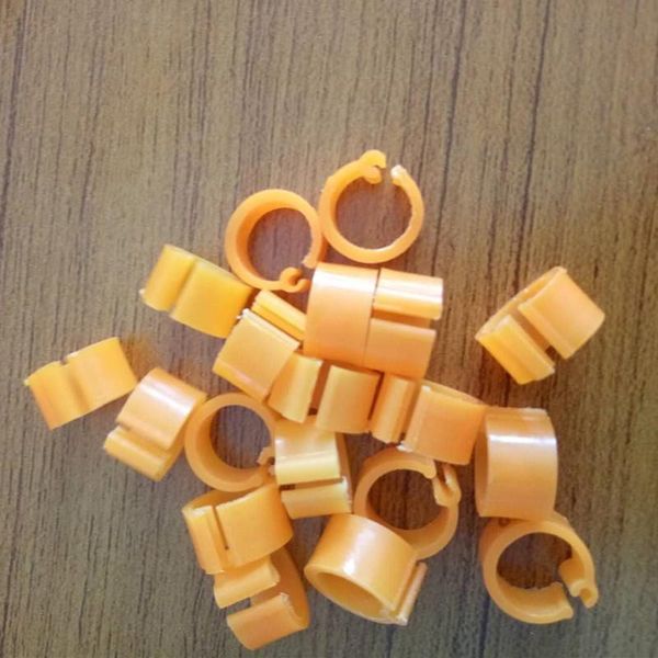 other bird supplies all colors canary plastric pigeon ring /rings for birds dove ring/ clip legs 8mm rings
other bird supplies all colors canary plastric pigeon ring /rings for birds dove ring/ clip legs 8mm rings