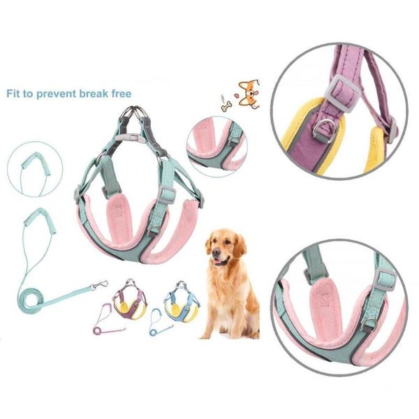 cat collars & leads lightweight sturdy pet harness traction rope set soft safe supplies
cat collars & leads lightweight sturdy pet harness traction rope set soft safe supplies