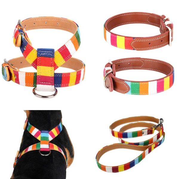 dog collars & leashes pet collar harness designer leather plain for big small canvas colorful rainbow halter leash
dog collars & leashes pet collar harness designer leather plain for big small canvas colorful rainbow halter leash