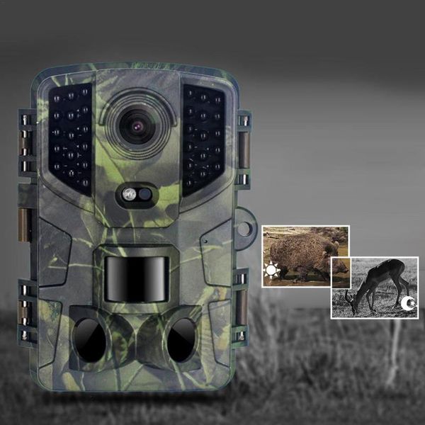 hunting cameras 20mp trail camera outdoor wildlife ir filter night view motion detection scouting po traps track
hunting cameras 20mp trail camera outdoor wildlife ir filter night view motion detection scouting po traps track