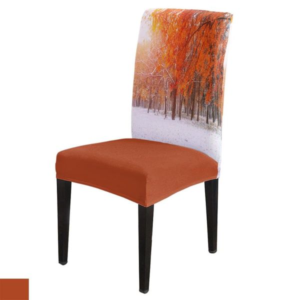 chair covers modern dining cover plant woods sun landscape winter theme home table chairs for kitchen tablecloth
chair covers modern dining cover plant woods sun landscape winter theme home table chairs for kitchen tablecloth