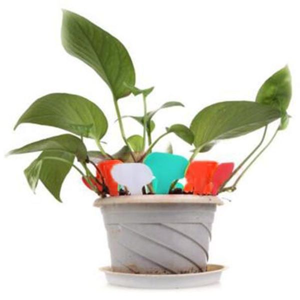garden decorations 50pcs nursery gray plastic plant t-type markers tags labels li
garden decorations 50pcs nursery gray plastic plant t-type markers tags labels li