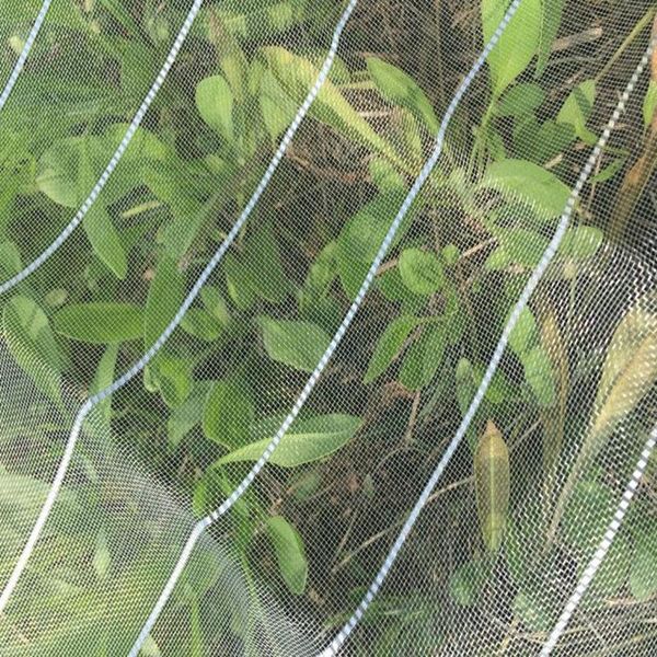 shade 1.8/3x5m nylon net 25mesh garden support plants care cover protection silver wire thread insect resistant bird proof shed
shade 1.8/3x5m nylon net 25mesh garden support plants care cover protection silver wire thread insect resistant bird proof shed