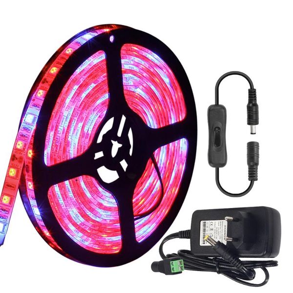 full spectrum led grow lights 5m strip light 60leds/m with switch adapter for greenhouse hydroponic plant growing lamp strips
full spectrum led grow lights 5m strip light 60leds/m with switch adapter for greenhouse hydroponic plant growing lamp strips