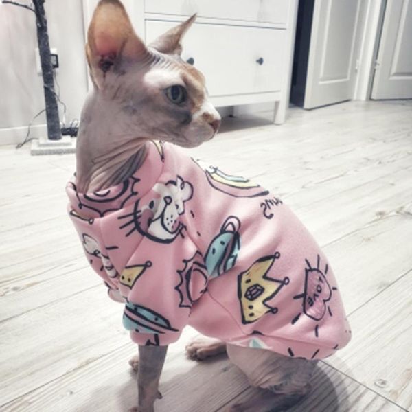 cat costumes spring autumn clthoes for small cats kedi katten sphynx pullovers soft fleece puppy dog pet hoodie mascotas clothing outift
cat costumes spring autumn clthoes for small cats kedi katten sphynx pullovers soft fleece puppy dog pet hoodie mascotas clothing outift