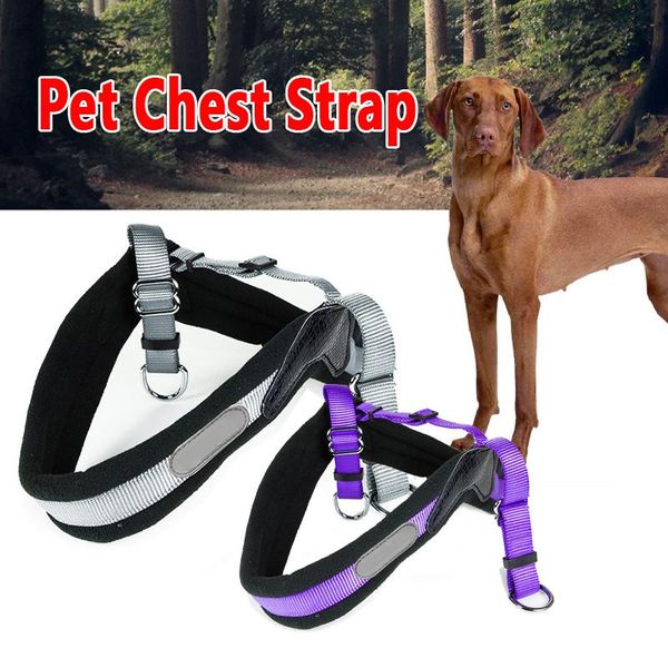 dog collars & leashes dogs nylon harness collar breakaway adjustable soft breathable mesh vest fit for medium big pet training supplies
dog collars & leashes dogs nylon harness collar breakaway adjustable soft breathable mesh vest fit for medium big pet training supplies