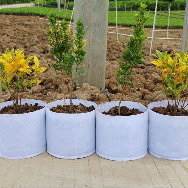 2pcs planter grow bag woven fabric bags round pots vegetable growing outdoor garden pot home tool planters
2pcs planter grow bag woven fabric bags round pots vegetable growing outdoor garden pot home tool planters