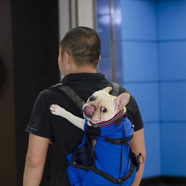 dog car seat covers 2021 pet backpack traveler outcrop bag ventilated breathable washable bicycle outdoor shopping carrier
dog car seat covers 2021 pet backpack traveler outcrop bag ventilated breathable washable bicycle outdoor shopping carrier