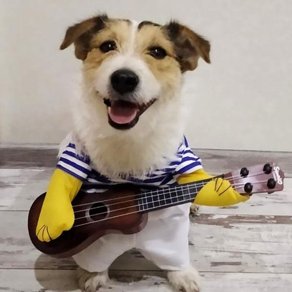 funny pet guitar player cosplay dog cat costume guitarist dressing role play clothes halloween christmas special events costumes
funny pet guitar player cosplay dog cat costume guitarist dressing role play clothes halloween christmas special events costumes