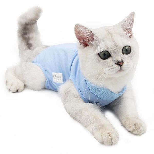 cat costumes female gown, pet sterilization suit, weaning posrative vest, anti-dropping anti-bite
cat costumes female gown, pet sterilization suit, weaning posrative vest, anti-dropping anti-bite