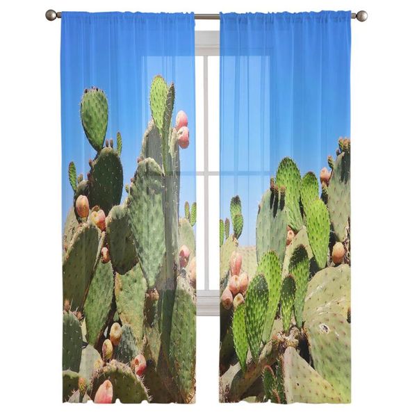 curtain & drapes cactus plant sky sheer curtains bedroom decoration kitchen tulle for living room
curtain & drapes cactus plant sky sheer curtains bedroom decoration kitchen tulle for living room
