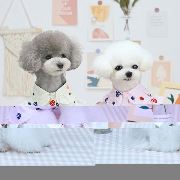 pet clothes puppy thin teddy dog cat spring and summer mushroom shirt apparel
pet clothes puppy thin teddy dog cat spring and summer mushroom shirt apparel