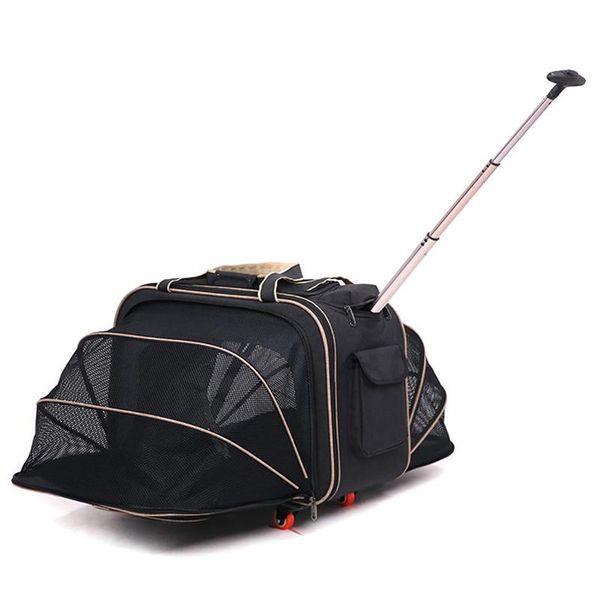dog car seat covers pet lever box expansion cat go out carrying pull pole bag multi-pet hand-held travel trolley protable pets within 10 kg
dog car seat covers pet lever box expansion cat go out carrying pull pole bag multi-pet hand-held travel trolley protable pets within 10 kg