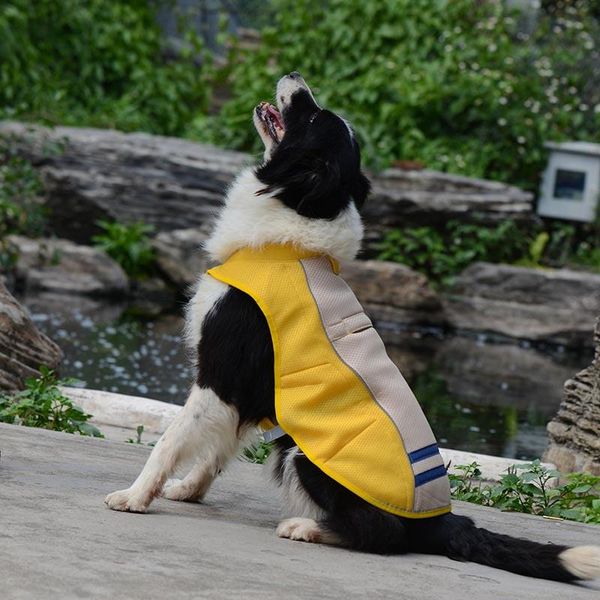 dog apparel summer cooling vest breathable cool coat sunscreen pet jacket for small medium large dogs
dog apparel summer cooling vest breathable cool coat sunscreen pet jacket for small medium large dogs