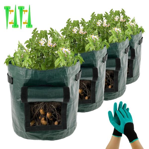 gallon potato cultivation plant growth bag greenhouse vegetable planting moisturizing jardin vertical garden grow planters & pots
gallon potato cultivation plant growth bag greenhouse vegetable planting moisturizing jardin vertical garden grow planters & pots