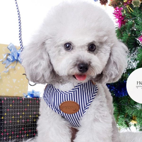 dog collars & leashes chain puppy cord chest straps pet small-scale vest walking rope
dog collars & leashes chain puppy cord chest straps pet small-scale vest walking rope