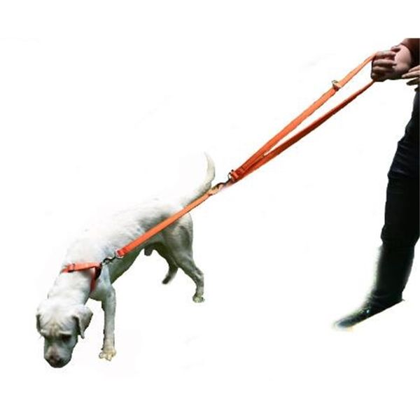 nylon double leashes rope with two hooks for small and medium dogs adjustable neoprene padded hands pet leash leads 2m
nylon double leashes rope with two hooks for small and medium dogs adjustable neoprene padded hands pet leash leads 2m