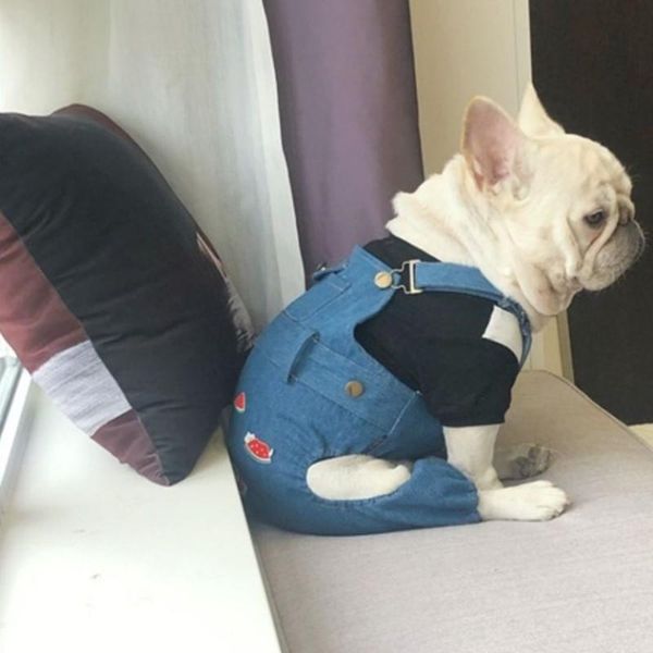 dog apparel pets products dogs supplies fashion summer spring clothes jean jumpsuit for frenchie
dog apparel pets products dogs supplies fashion summer spring clothes jean jumpsuit for frenchie