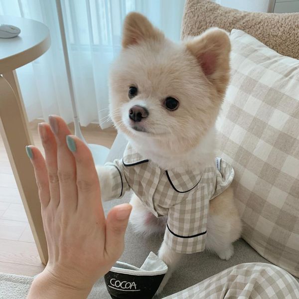 ins style korean non printed plaid khaki tibetan be pocket pajamas dog home cloth pet teddy bear
ins style korean non printed plaid khaki tibetan be pocket pajamas dog home cloth pet teddy bear