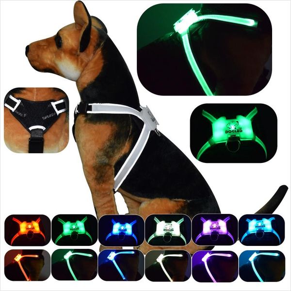 dog collars & leashes revolutionary illuminated and reflective harness for dogs including multicolored led fiber optics
dog collars & leashes revolutionary illuminated and reflective harness for dogs including multicolored led fiber optics