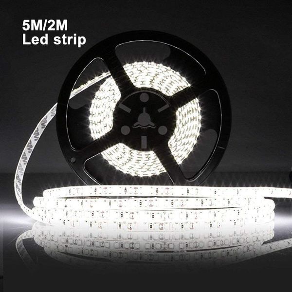 strips 5m/2m led strip light 12v 2835 cool white 120led/300led smd flexible super bright night lights for home room decoration
strips 5m/2m led strip light 12v 2835 cool white 120led/300led smd flexible super bright night lights for home room decoration