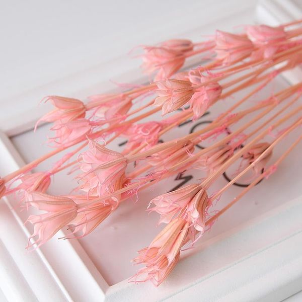 1bunch=10pcs artificial handmade plant gift natural dried flowers for home office garden decoration scrapbooking handicraft decorative & wre
1bunch=10pcs artificial handmade plant gift natural dried flowers for home office garden decoration scrapbooking handicraft decorative & wre