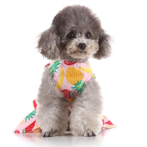 dog apparel pet spring and summer fine fruit print costumes skirt dresses for small large bubble stripe lace a1
dog apparel pet spring and summer fine fruit print costumes skirt dresses for small large bubble stripe lace a1