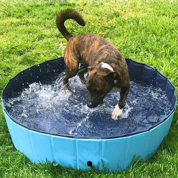 kennels & pens dog swimming pool pet bath tub collapsible bathing outdoor for dogs cats accessories
kennels & pens dog swimming pool pet bath tub collapsible bathing outdoor for dogs cats accessories