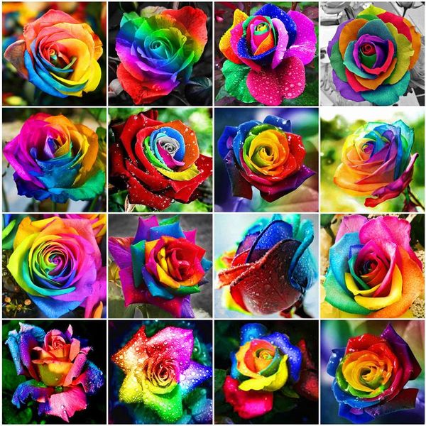 diamond painting evershine full square/round cross stitch flower 5d diy embroidery rose mosaic sale home decoration
diamond painting evershine full square/round cross stitch flower 5d diy embroidery rose mosaic sale home decoration