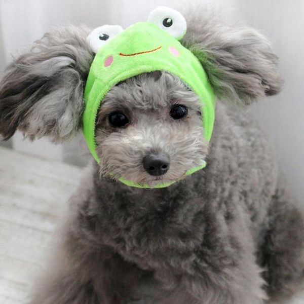 dog apparel cute hat animal shape pets cap for dogs creative funny costume cosplay autumn winter warm puppy small cats hats
dog apparel cute hat animal shape pets cap for dogs creative funny costume cosplay autumn winter warm puppy small cats hats