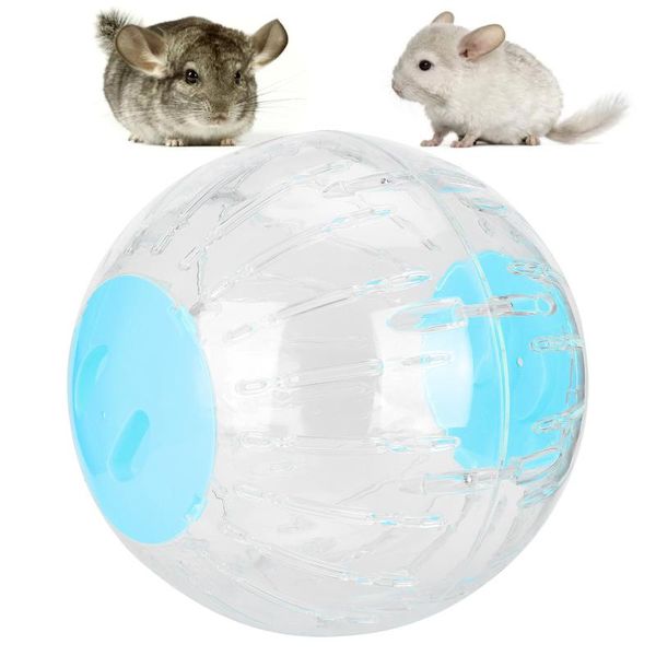 small animal supplies 33cm hamster transparent running ball funny toy chinchillas large exercise playing balls
small animal supplies 33cm hamster transparent running ball funny toy chinchillas large exercise playing balls