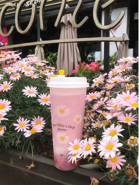 disposable cups & straws 50pcs net red frosted transparent milk tea cup 500ml 700ml packaging juice drink plastic party favors dessert with
disposable cups & straws 50pcs net red frosted transparent milk tea cup 500ml 700ml packaging juice drink plastic party favors dessert with