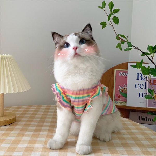 cat costumes rainbow little cherry ~ summer ins cute pet dog clothes thin anti hair bubble sleeve vest t-shirt
cat costumes rainbow little cherry ~ summer ins cute pet dog clothes thin anti hair bubble sleeve vest t-shirt