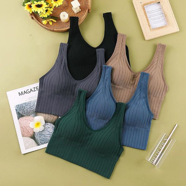 yoga outfit underwear women seamless summer crop sport bra female tube sleeveless lingerie vest 2021
yoga outfit underwear women seamless summer crop sport bra female tube sleeveless lingerie vest 2021