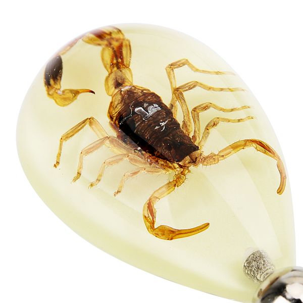 car keyring animal amber pendant key rings creative scorpion keychain noctilucent key chain car-styling auto accessories, Slivery;golden
car keyring animal amber pendant key rings creative scorpion keychain noctilucent key chain car-styling auto accessories, Slivery;golden
