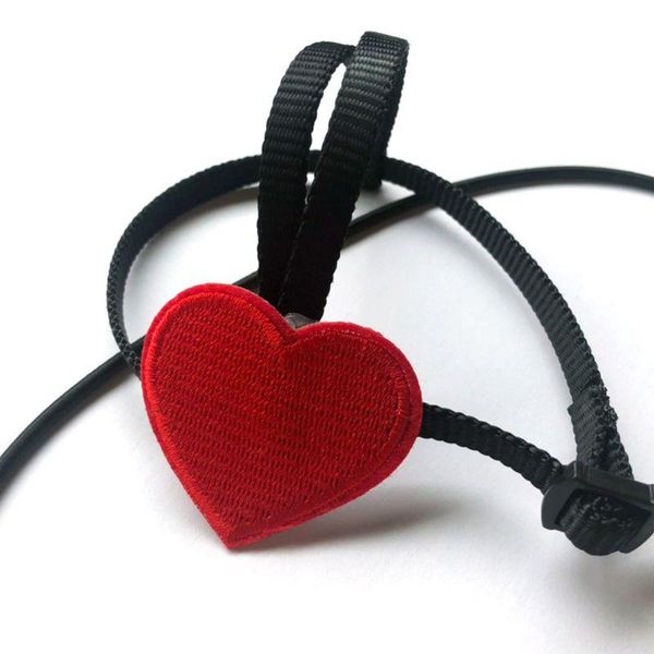 anti-bite flying training rope parrot birds ultralight harness leash soft portable pet toys other bird supplies
anti-bite flying training rope parrot birds ultralight harness leash soft portable pet toys other bird supplies